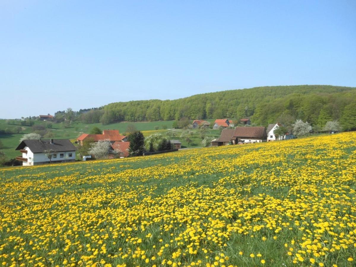 Ferienwohnung Oettersbach 포펜하우젠 외부 사진